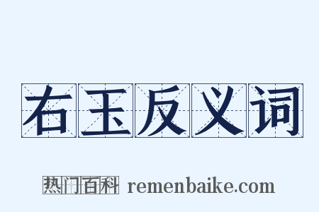 右玉反义词是什么意思的图片